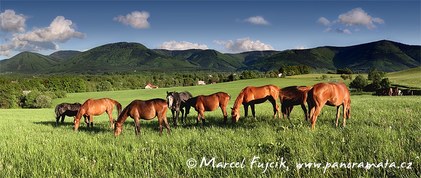 U Frenštátu pod Radhoštěm